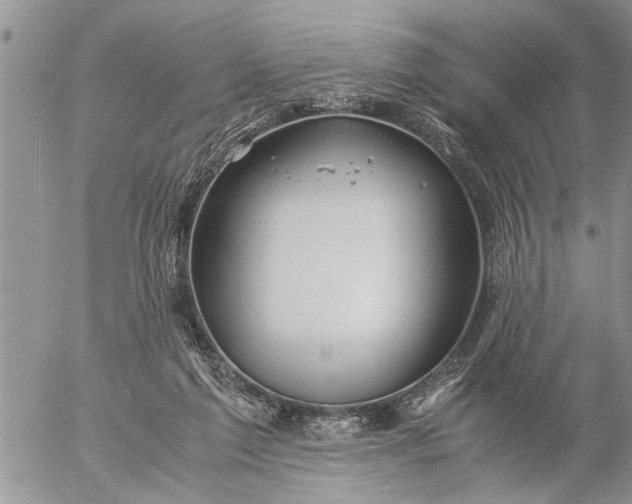 X0000057060213200509231540