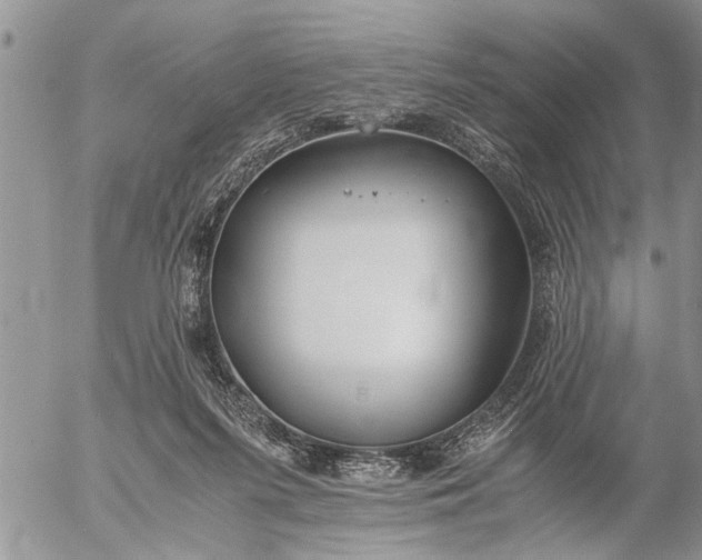 X0000057060215200509231540