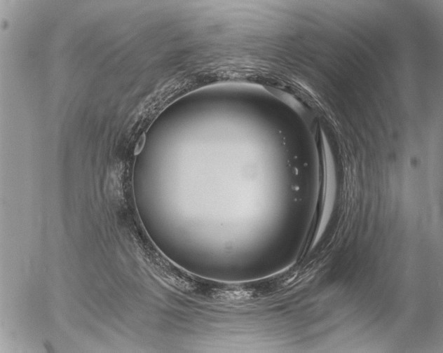 X0000057060217200509231540