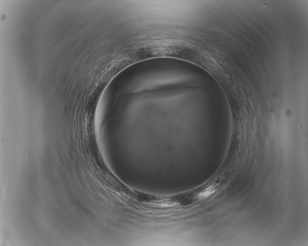 X0000057060219200509231540