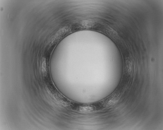 X0000057060220200509231540