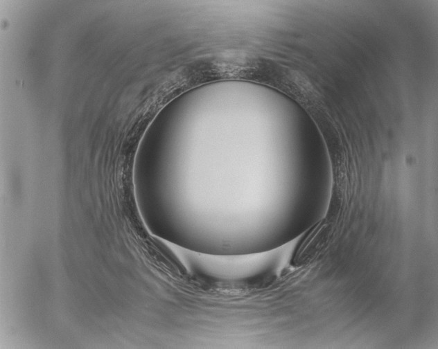 X0000057060221200509231540