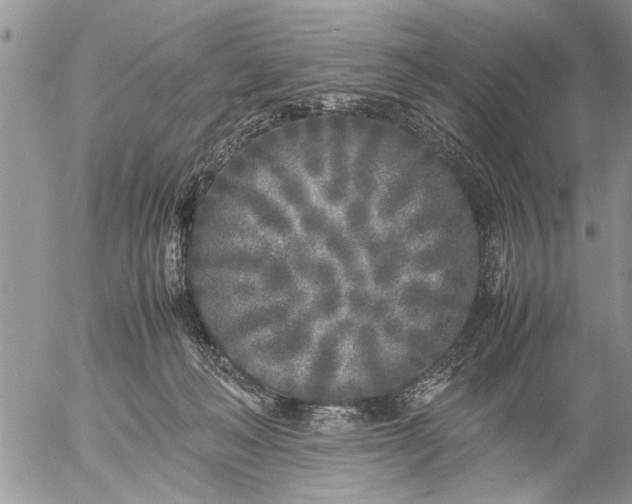 X0000057060222200509231540