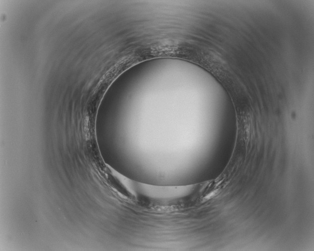 X0000057060224200509231540