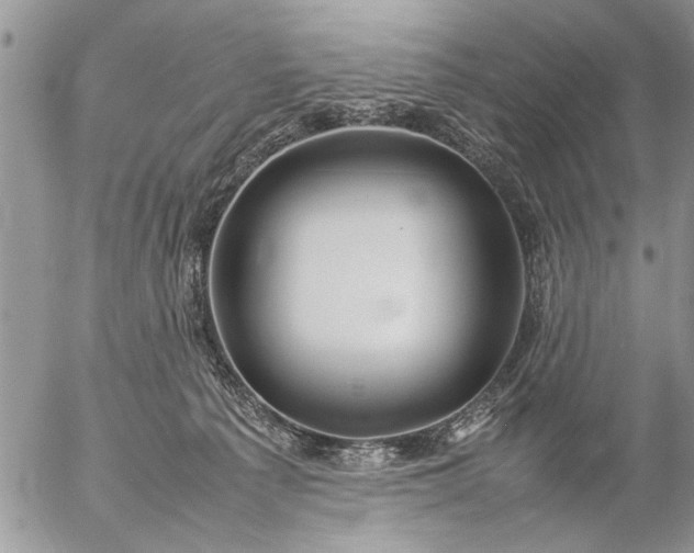 X0000057060225200509231540