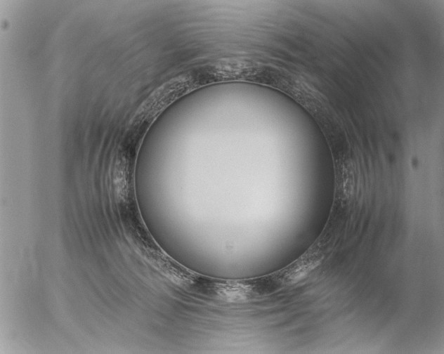 X0000057060226200509231540