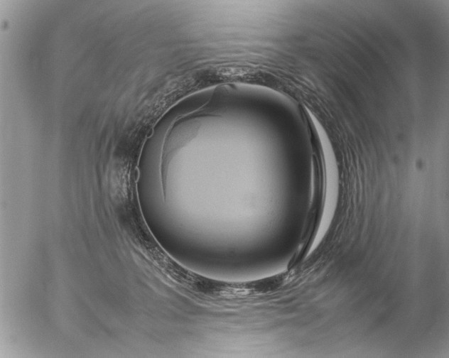 X0000057060227200509231540