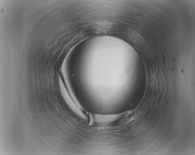 X0000057060228200509231540