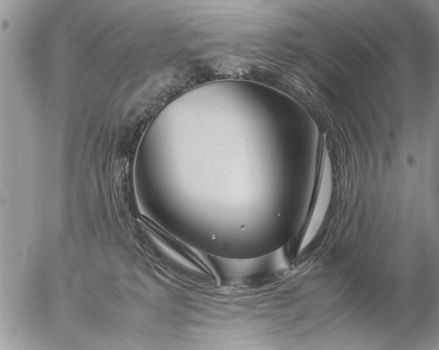 X0000057060229200509231540