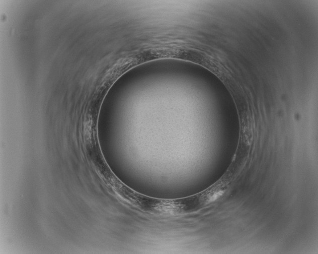 X0000057060231200509231540