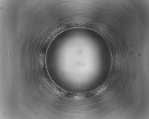 X0000057060232200509231540