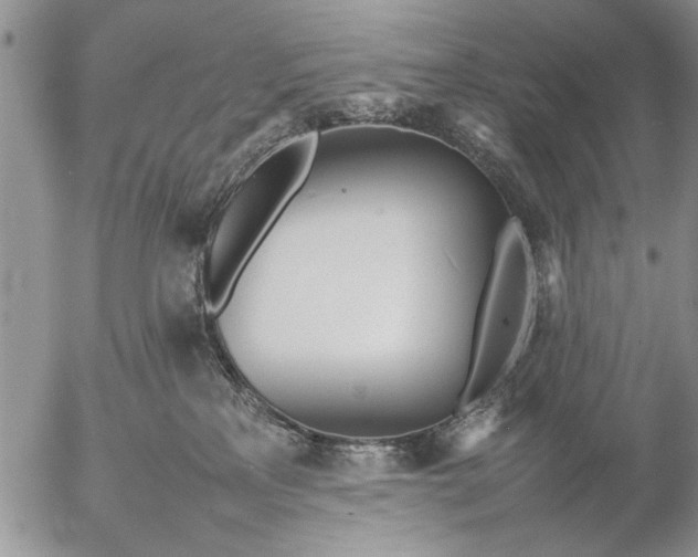 X0000057060233200509231540