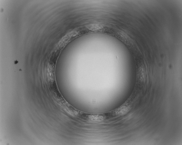 X0000057060234200509231540