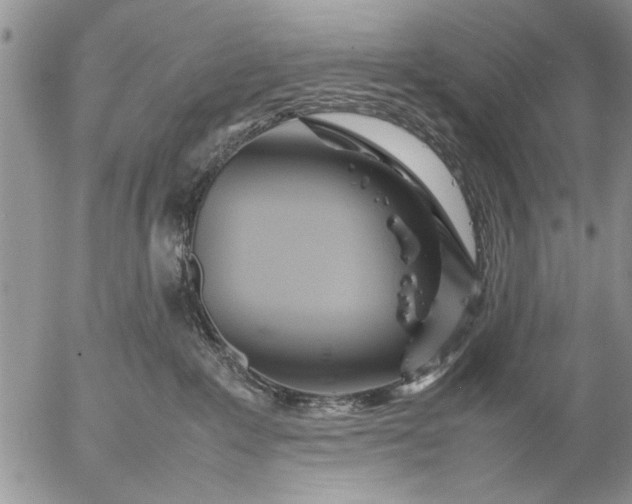 X0000057060235200509231540