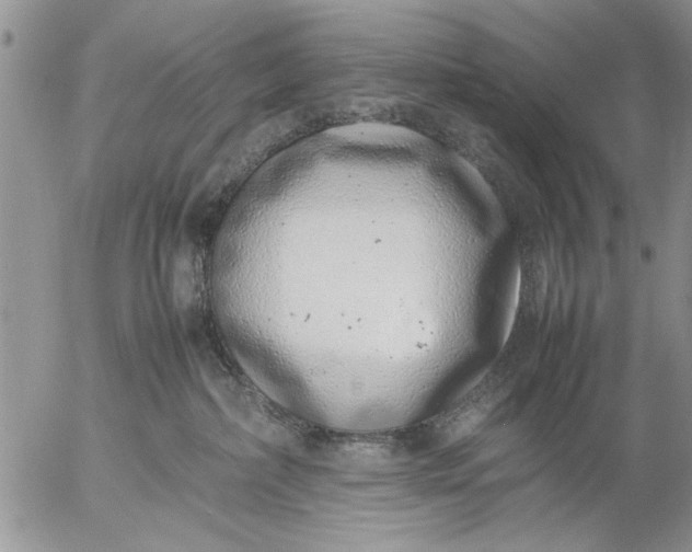 X0000057060236200509231540