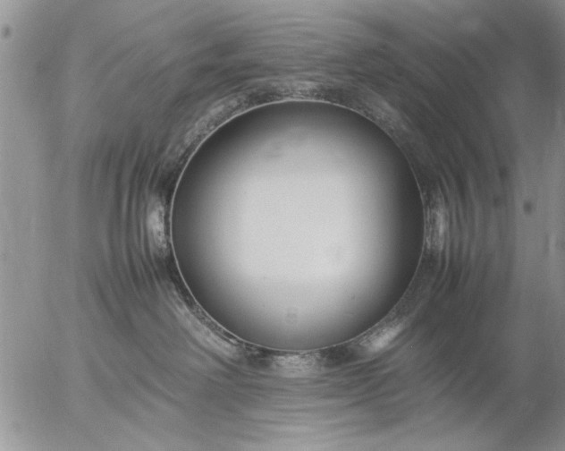 X0000057060238200509231540