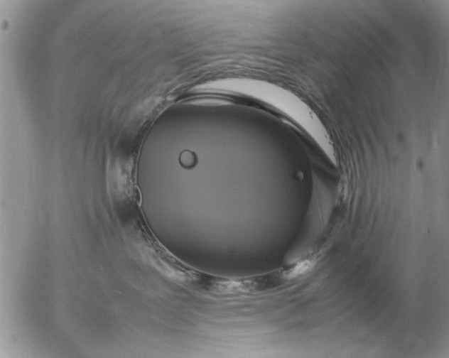 X0000057060239200509231540