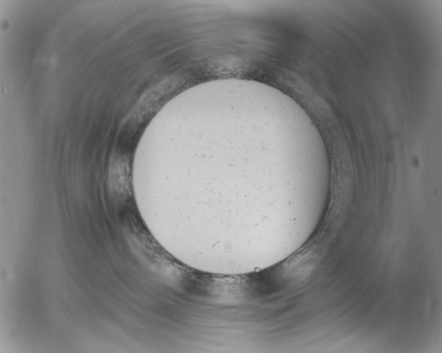 X0000057060240200509231540