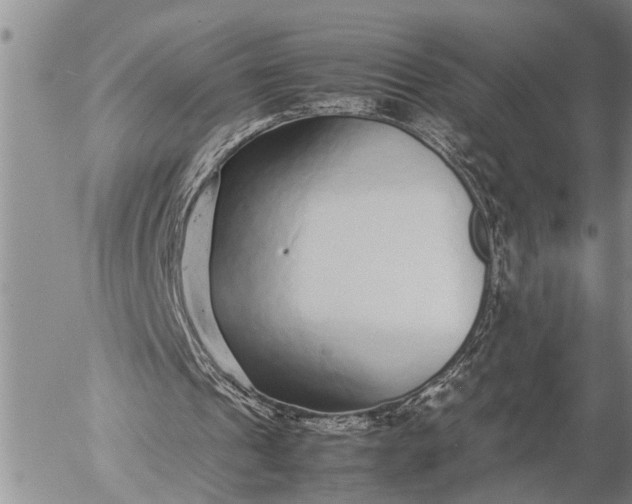 X0000057060241200509231539