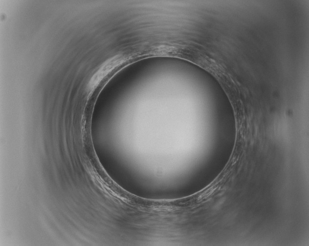 X0000057060242200509231539