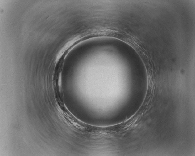 X0000057060244200509231539