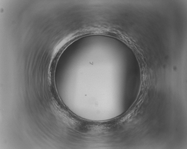 X0000057060246200509231539