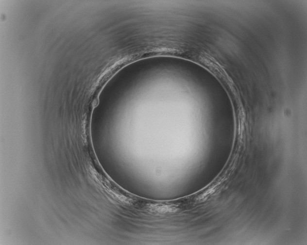 X0000057060249200509231539