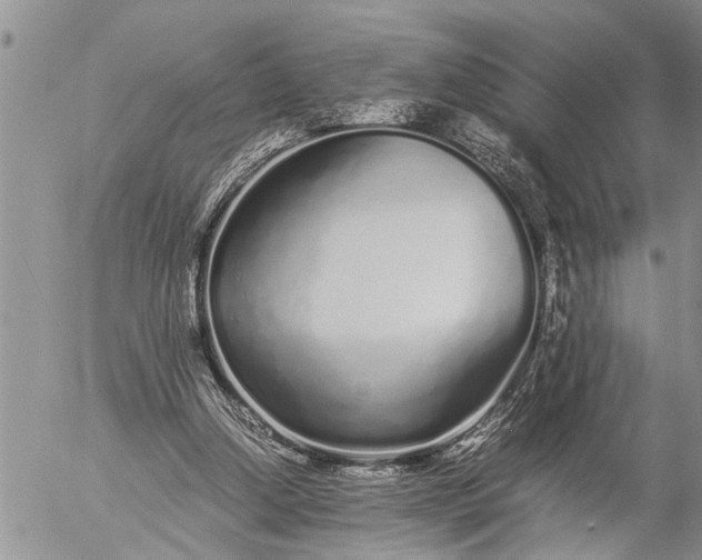 X0000057060250200509231539