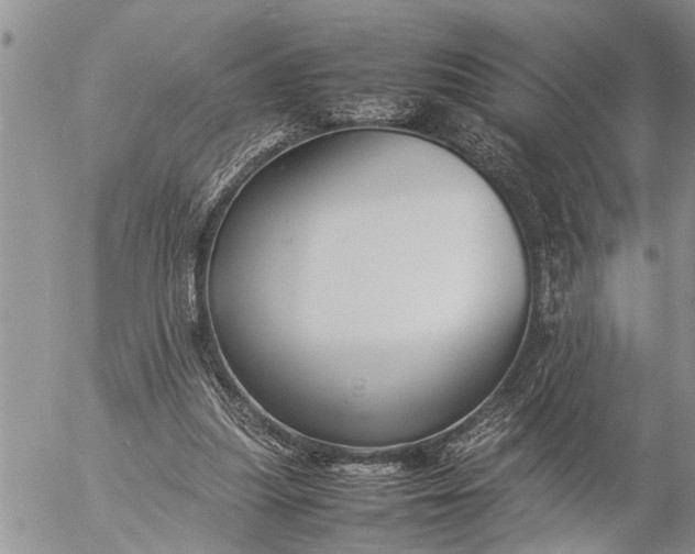 X0000057060251200509231539