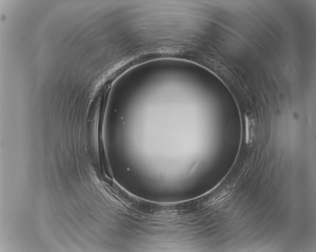 X0000057060252200509231539