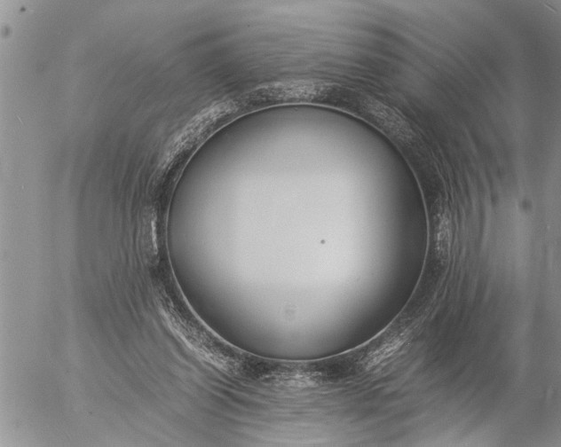 X0000057060254200509231539