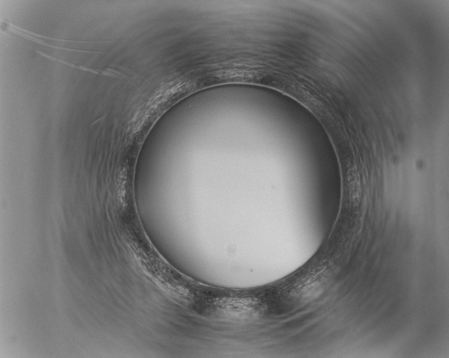 X0000057060255200509231539