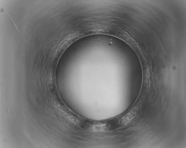 X0000057060257200509231539