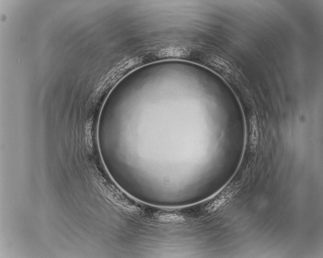 X0000057060258200509231539