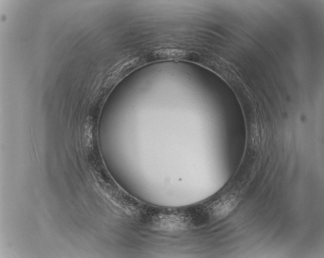 X0000057060259200509231539