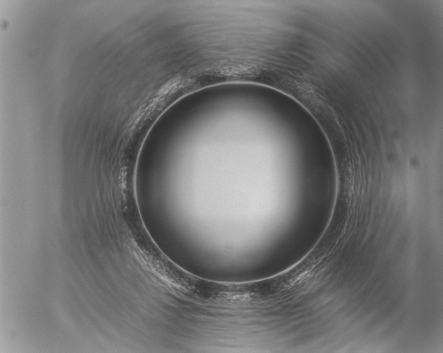 X0000057060260200509231539