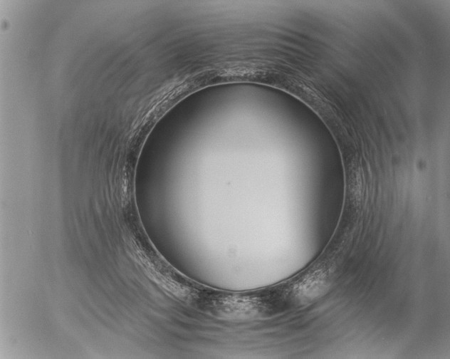 X0000057060261200509231539