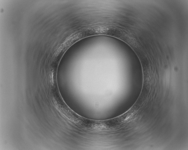 X0000057060262200509231540