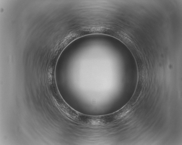 X0000057060264200509231540