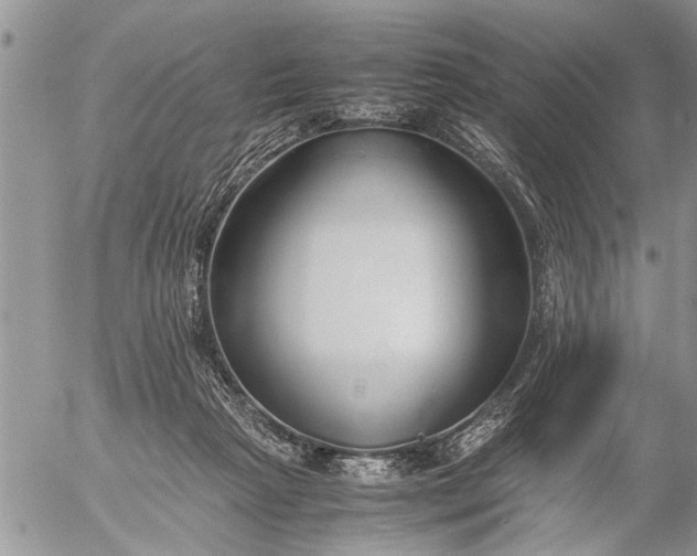 X0000057060265200509231540