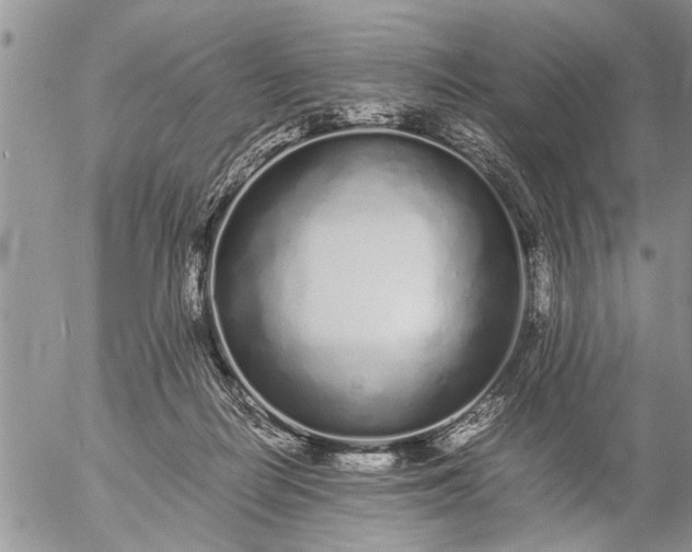 X0000057060266200509231540