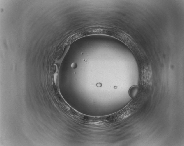 X0000057060267200509231540