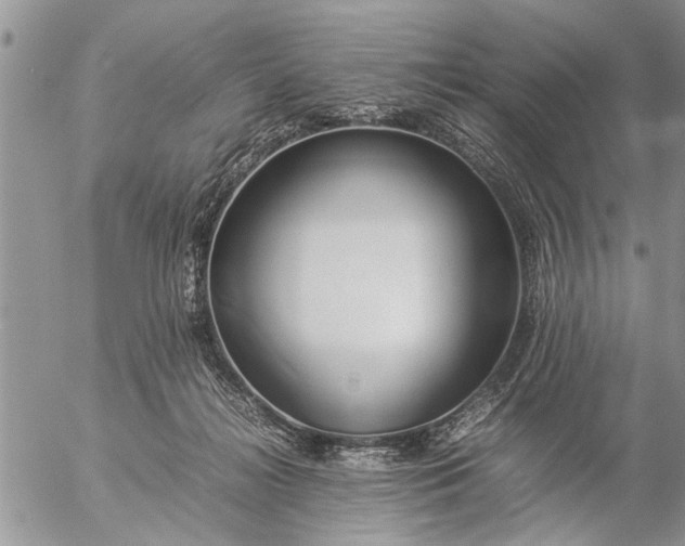 X0000057060268200509231540