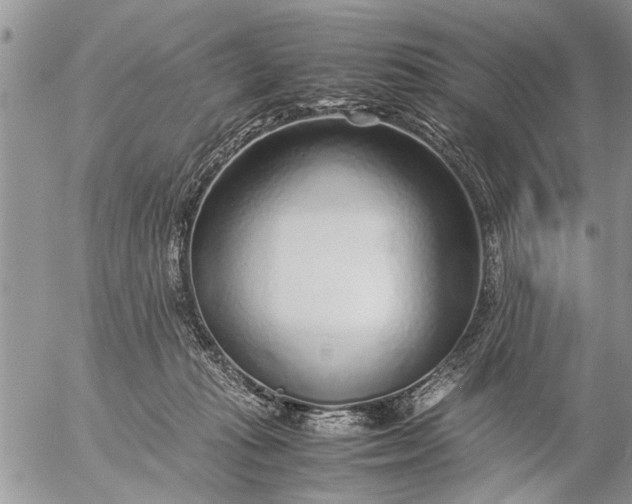 X0000057060269200509231540