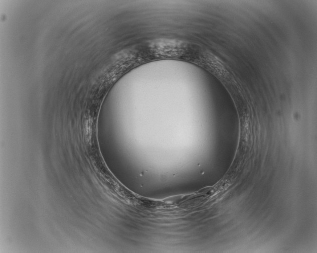 X0000057060271200509231540