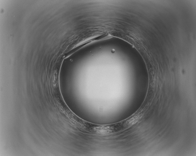 X0000057060273200509231540