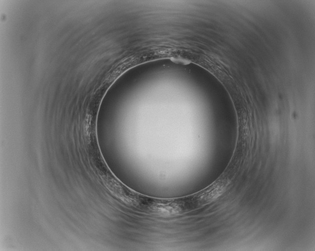 X0000057060275200509231540