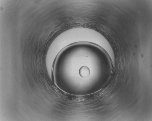 X0000057060276200509231540