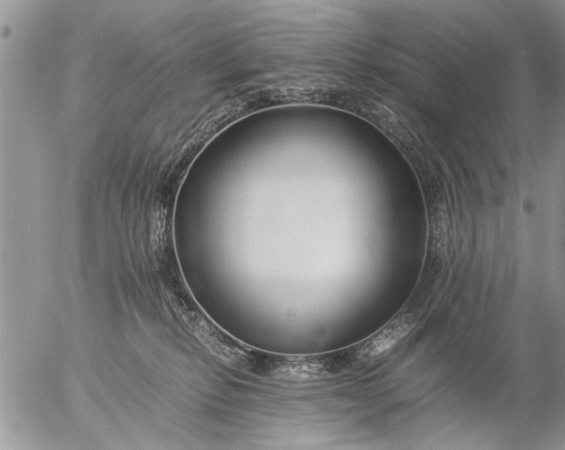 X0000057060278200509231540