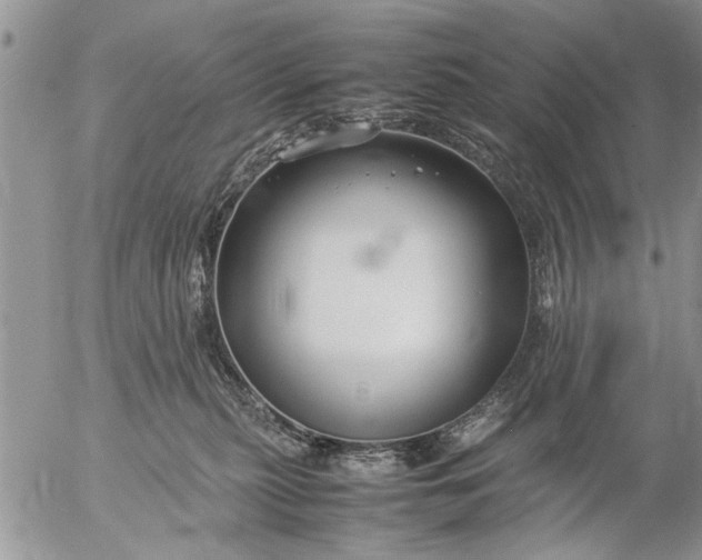 X0000057060279200509231540